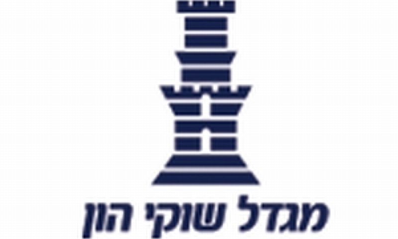 מגדל שוקי הון