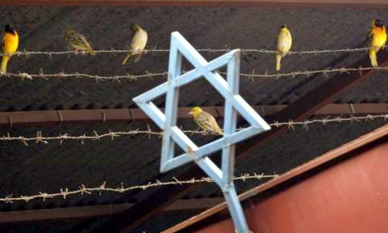[צילום: פלאש 90]