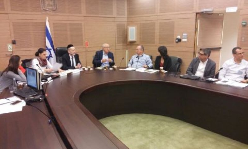 הדיון בוועדה [צילום: דוברות הכנסת]