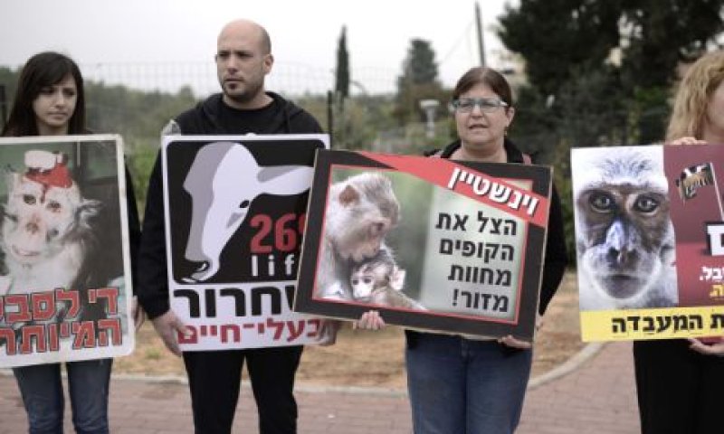 הפגנה נגד שימוש בבעלי חיים במחקרים [צילום: תומר נויברג, פלאש 90]