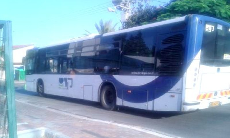 קווים. מתחברים למושבות