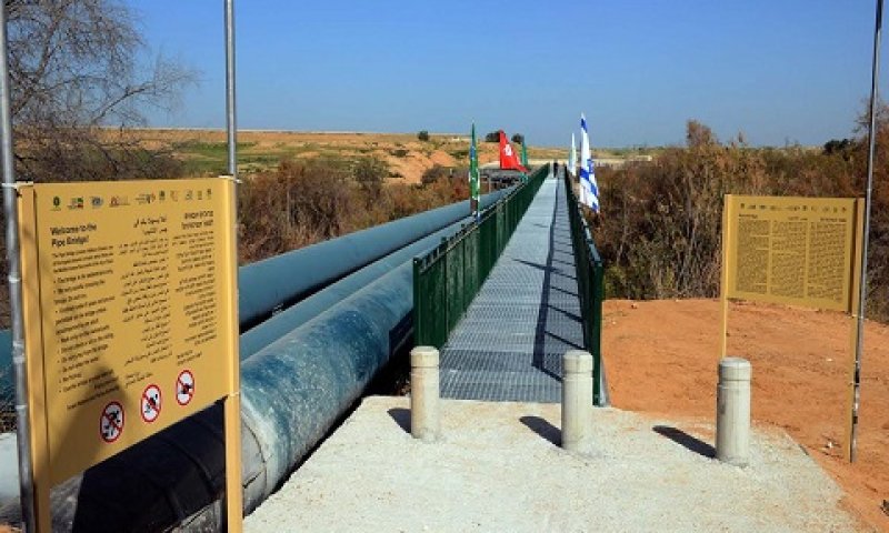 [צילום: ישראל מלובני]