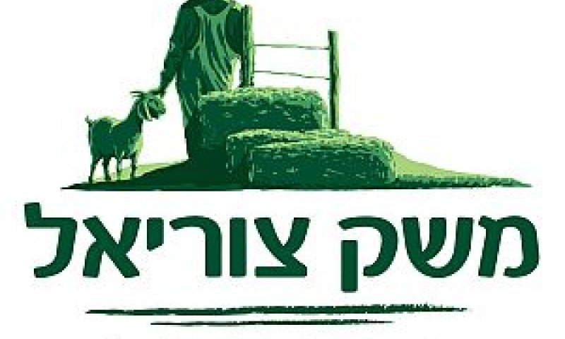 משק צוריאל