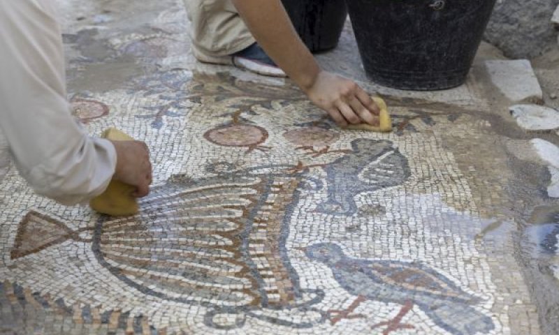 ניקוי כתובת הפסיפס בסוסיתא [צילום: ד"ר מיכאל איזנברג]