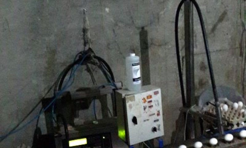 מכונת מיון ביצים פיראטית בחברון [צילום: משרד החקלאות]