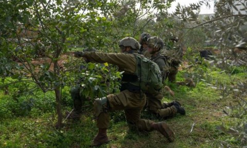 פעילות הכוחות בשטח [צילום: דובר צה''ל]