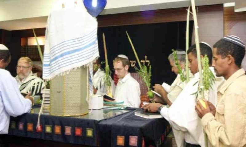 [צילום: הסוכנות היהודית]
