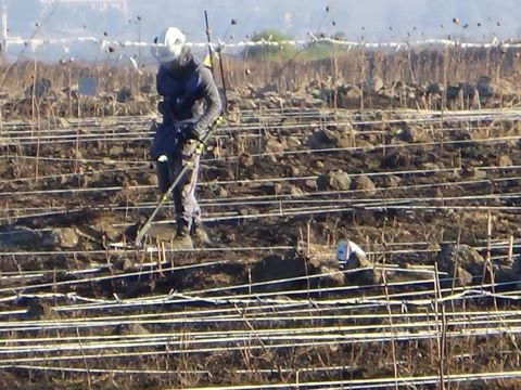 [צילום: אגף דוברות וקשרי ציבור במשרד הביטחון]