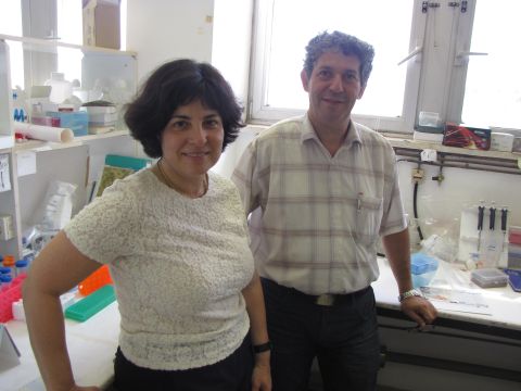 ד"ר דוד צנגן ופרופ' אפרת לוי-להד הובילו את המחקר [צילום: דוברות הדסה ושערי צדק]