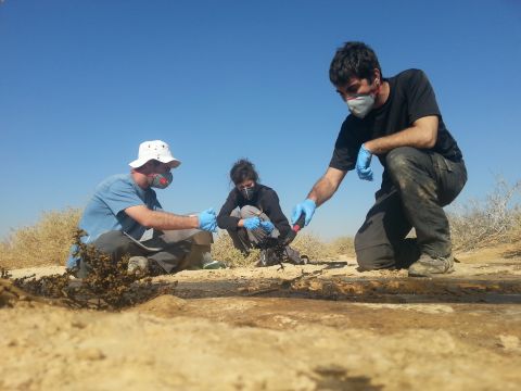 מקצועות תבואת השדה [צילום: דוברות הטכניון]