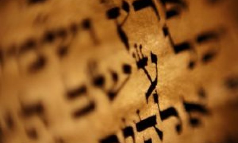 משמרים את השפה העברית [צילום: AP]