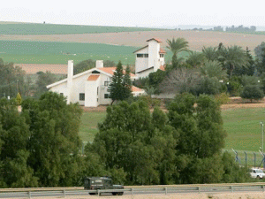 חוות השקמים [צילום: AP]