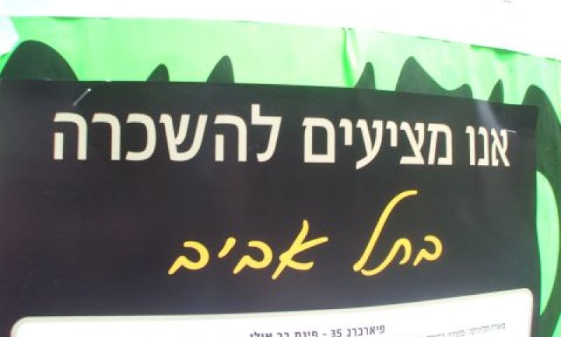 מספר קטן של דירות להשכרה