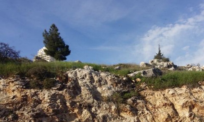 מודיעין [צילום: עידן יוסף]