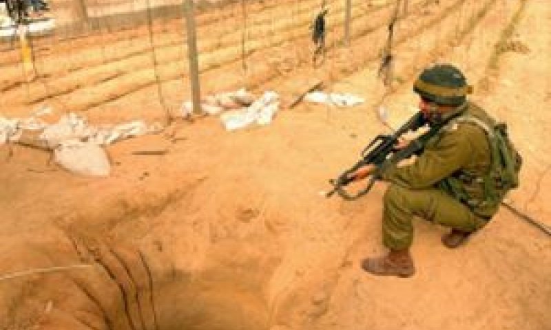 [צילום: דו"צ]