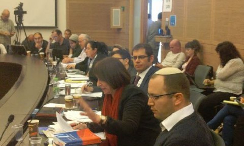 מומחים למשפט בינלאומי בוועדה [צילום: דוברות הכנסת]