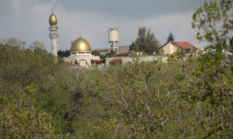 בסמת טבעון [צילום: יהודית גרעין-כל/אתר פיקיוויקי]