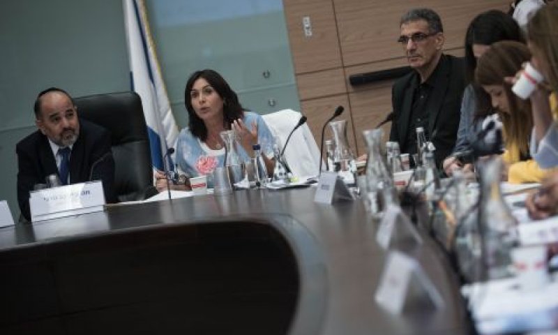 השרה רגב בוועדת החינוך [צילום: הדס פרוש/פלאש 90]