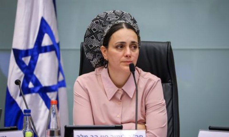 לימור סון הר מלך [צילום: נועם מושקוביץ/דוברות הכנסת]