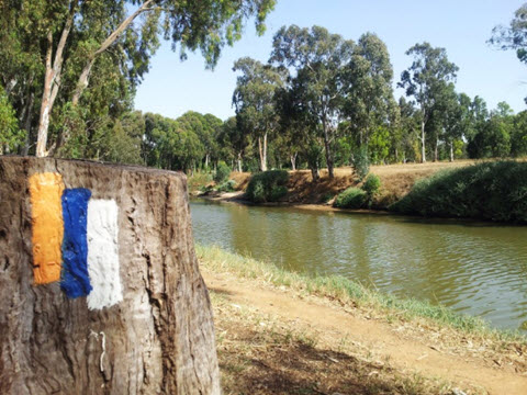 שביל ישראל בפארק הירקון [צילום: דב גרינבלט, החברה להגנת הטבע]