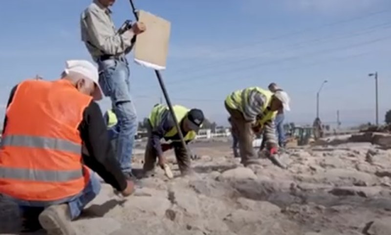 החפירות בבית הכנסת העתיק במגדל [צילום: אוניברסיטת חיפה]