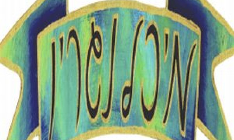 חנות של מיכל נגרין [צילום: יח"צ]