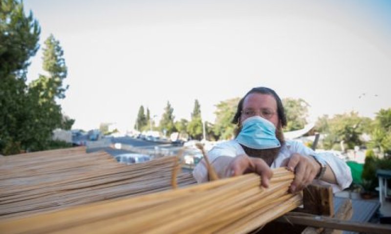 חרדי בונה סוכה בירושלים [צילום: יונתן זינדל/פלאש 90]
