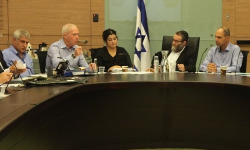 גלנט בוועדת הכספים [צילום: דוברות הכנסת]