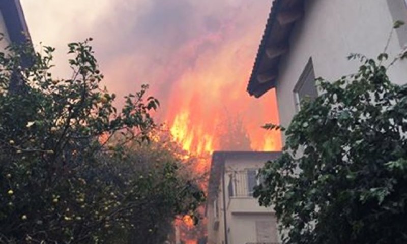 הדליקה בלב שכונה בזכרון יעקב [צילום: קבוצת מדברים תקשורת]