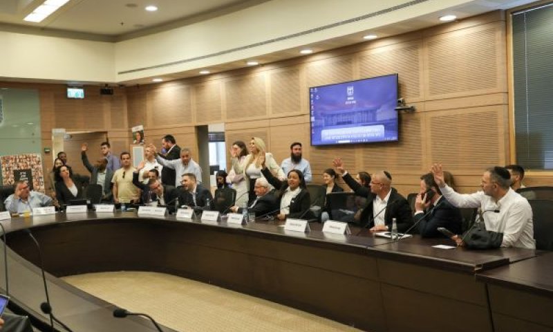 ההצבעה בוועדת הכלכלה [צילום: דני שם-טוב/דוברות הכנסת]