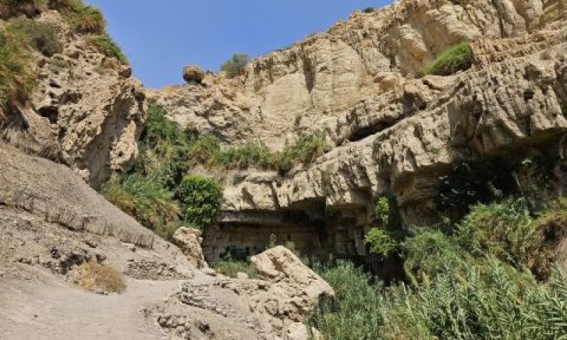 השמורה לאחר האסון [צילום: ליאור לב/רשות הטבע והגנים]