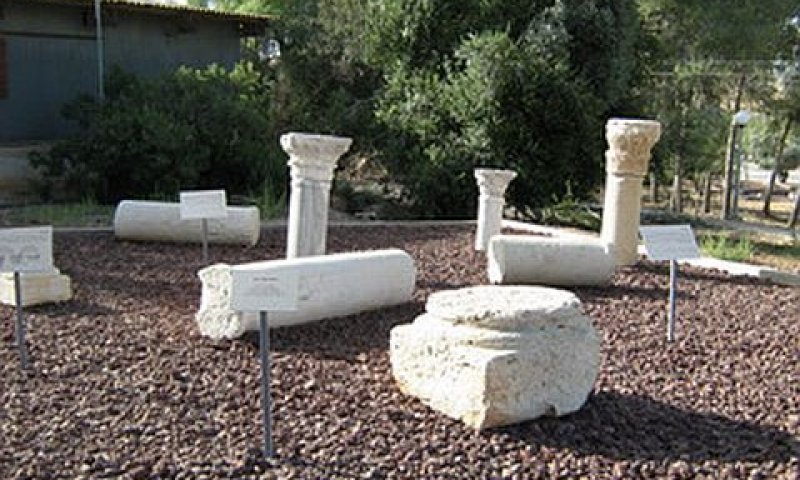 [צילום: אורית שמיר]