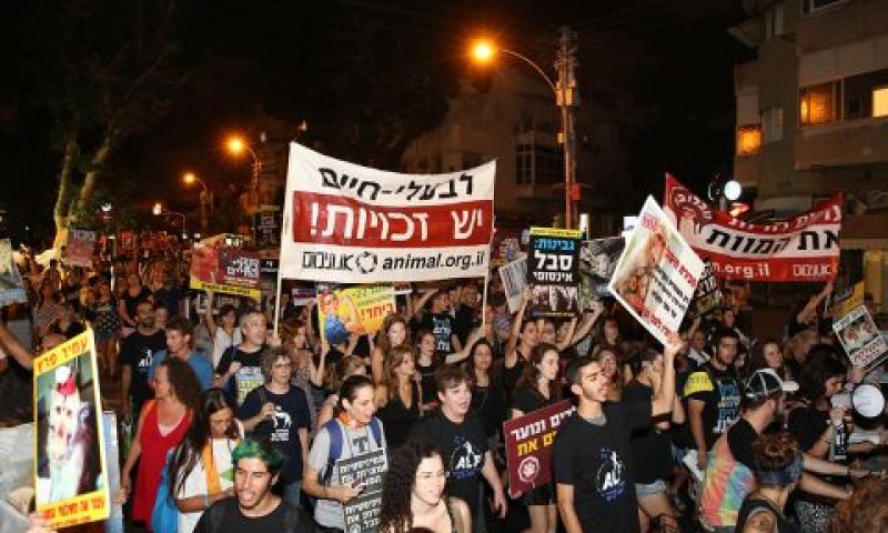 [צילום: רויטל טופיול]