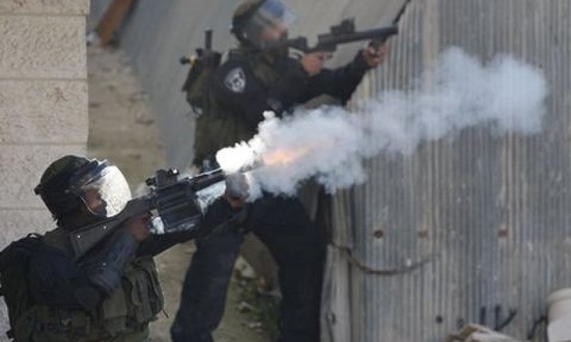 "כרסום הדרגתי בהגבלות הירי" [צילום: AP]