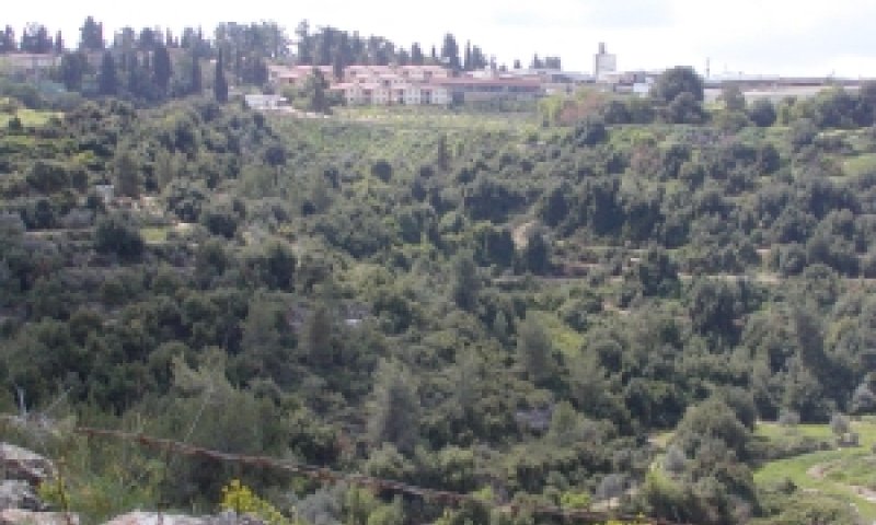 קיבוץ צובה