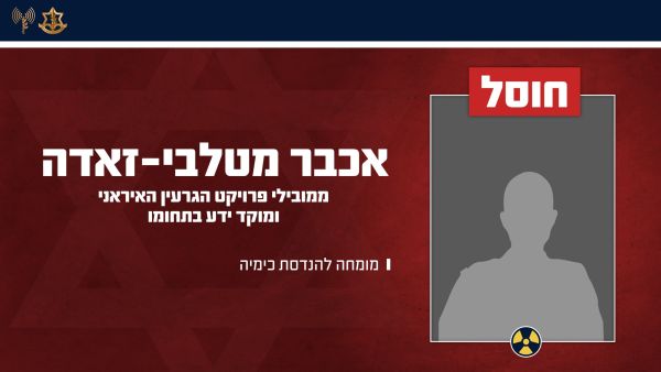[צילום: דובר צה"ל]