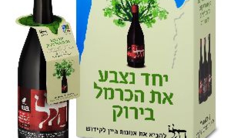[צילום: איל קרן-יח"צ]