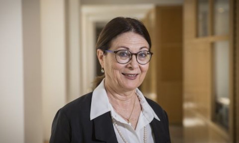 חיות. משימה לא פשוטה [צילום: הדס פרוש/פלאש 90]