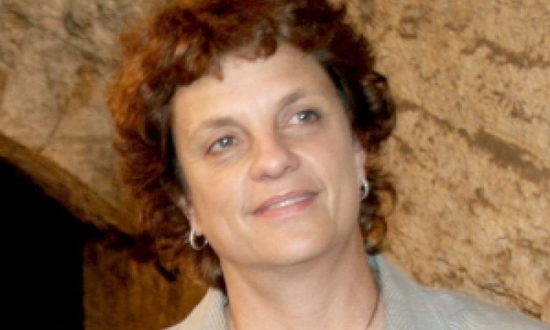 תמיר. הצעה חברתית