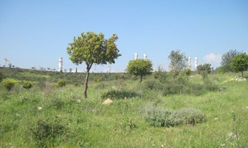 נוף מצפור יער חגית [צילום: ארכיון צילומי קק"ל]