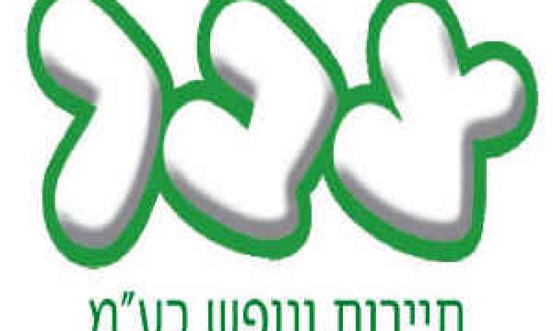 צבר