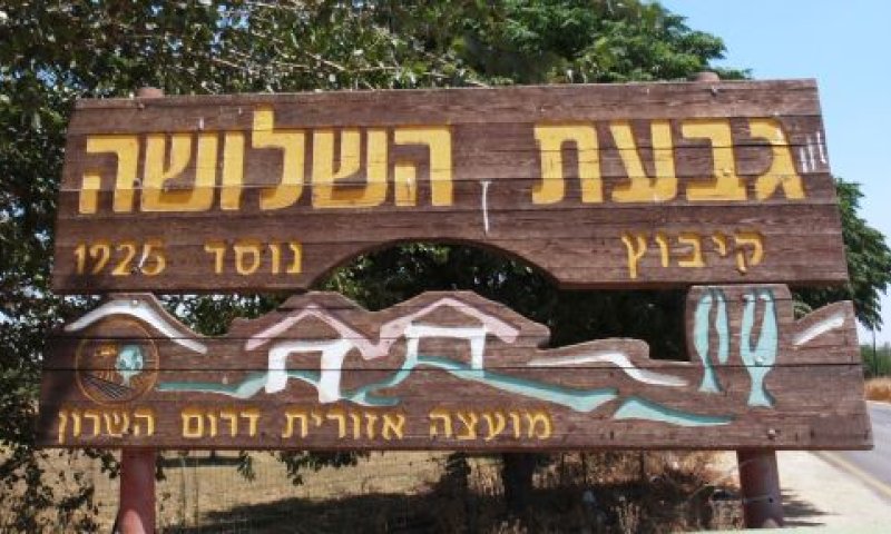 עדויות בכירי הקיבוץ לשעבר לא היו מהימנות