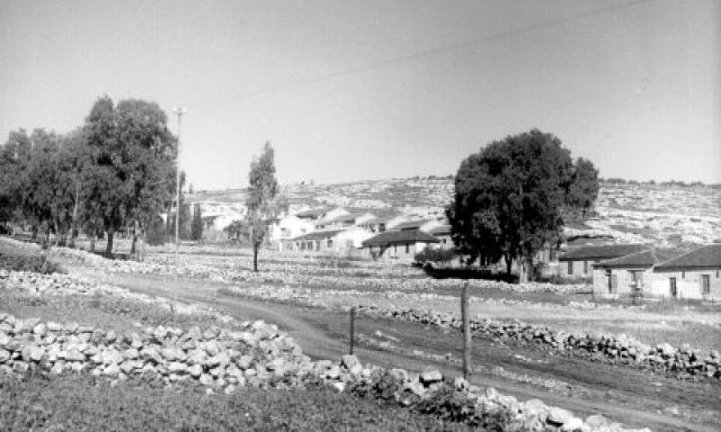 אילניה (סג'רה), מרס 1937 [צילום: זולטן קלוגר/לע"מ]