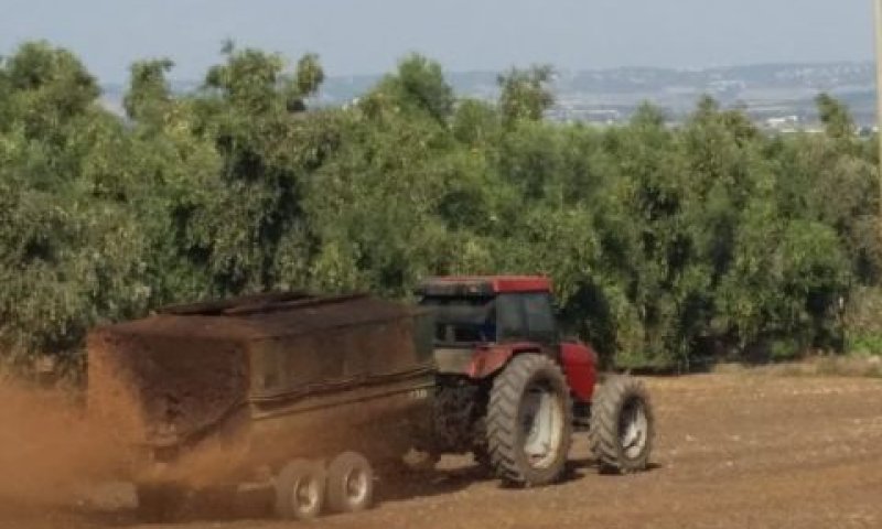 פינוי עקר מבתי הבד [צילום: יוסי בן ארי/רט"ג]