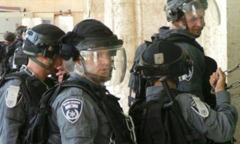 השוטרים פרצו אל ההר [צילום: דובר המשטרה]