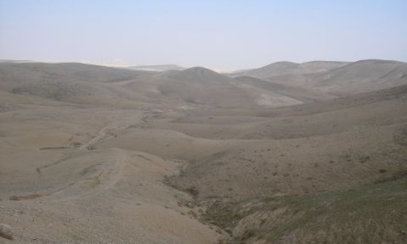 מדבר יהודה [החברה להגנת הטבע]