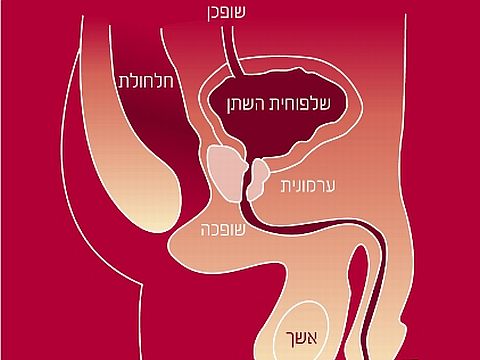 ללא תלות בתרופות [צילום: יח"צ]