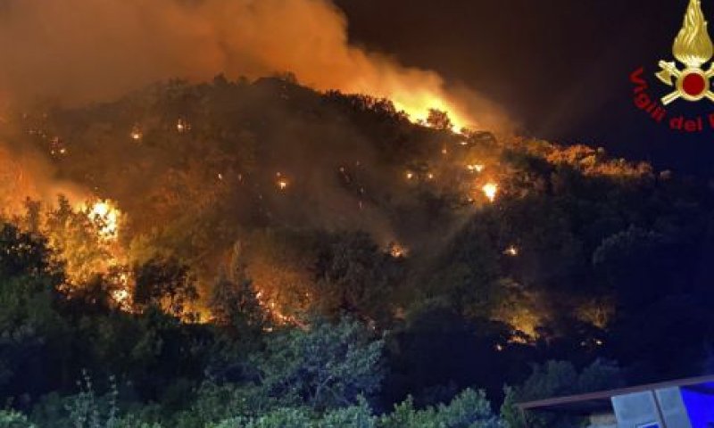 שריפות ענק בסיצליה בחודש יולי [צילום: AP]