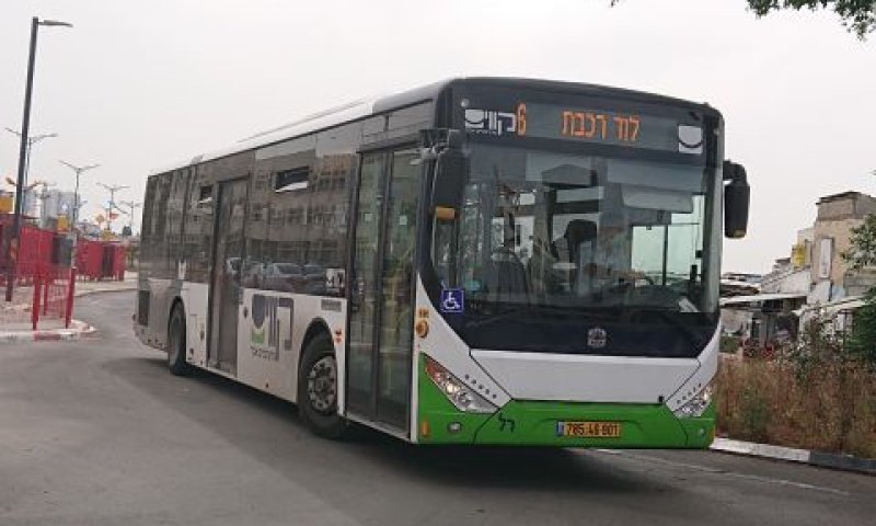 קווים. דוח עגום [צילום: אברהם שטרן]