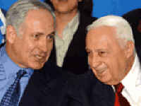 שני הניצים הגדולים